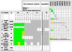 Project Management